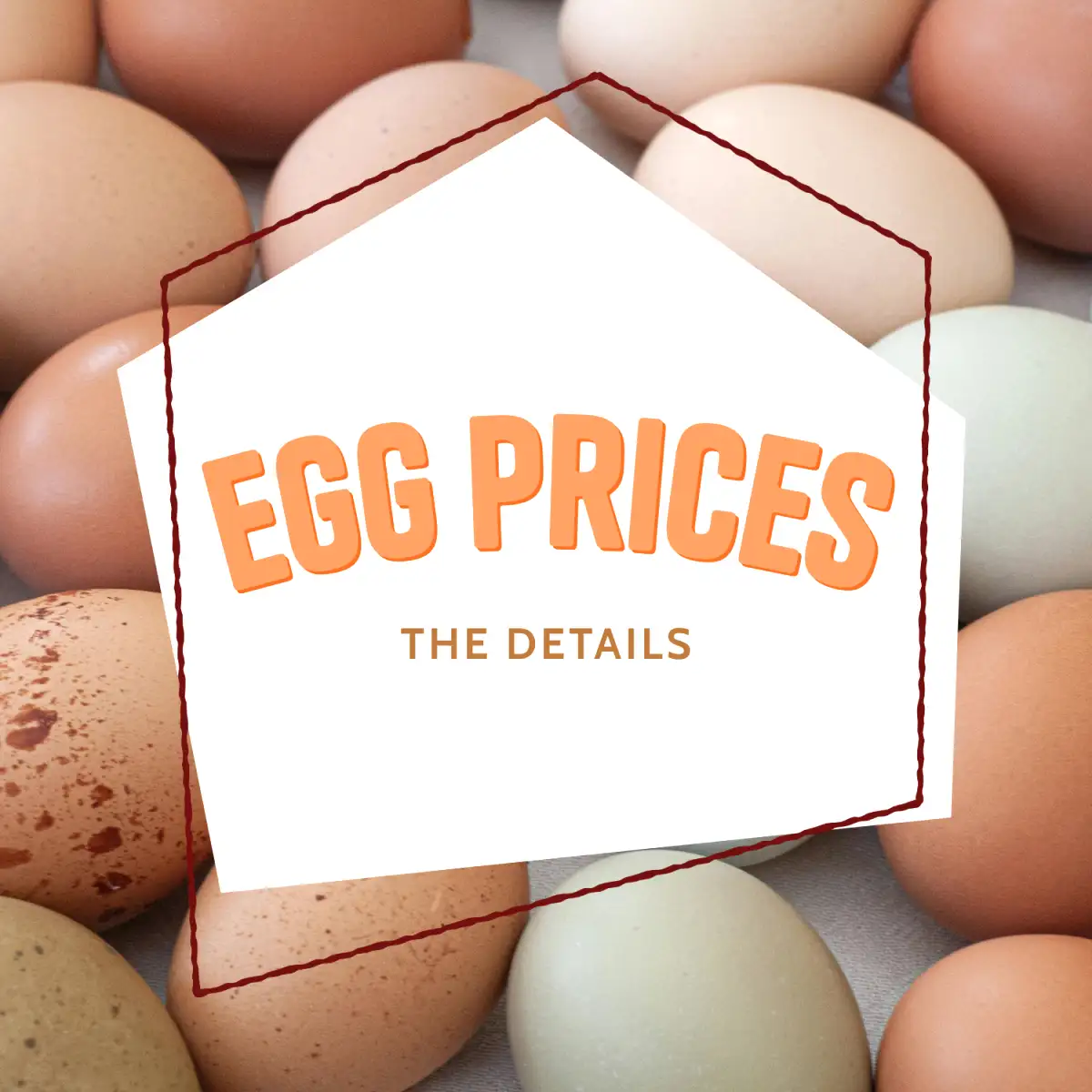 Egg Prices – The Details